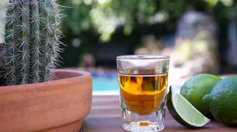 Here's why tequila is worth more than a shot