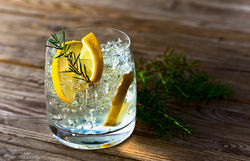 Essential Facts About Beefeater London Dry Gin