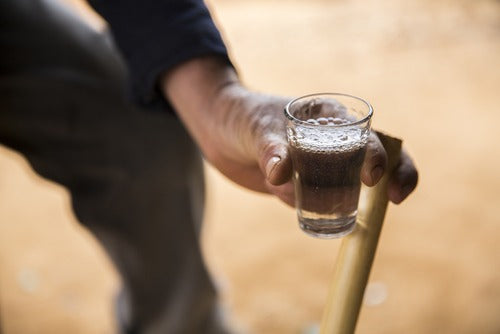 Some Fascinating Facts about Mezcal