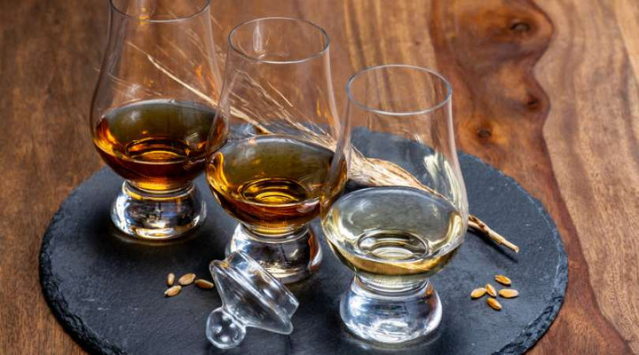 The Art of Scotch Whisky Tasting: A Guide to Developing Your Palate