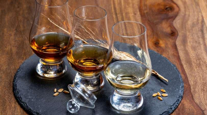 The Art of Scotch Whisky Tasting: A Guide to Developing Your Palate