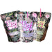Good Bev Co. Margarita Variety  Pack ( 12 X 200 Ml )